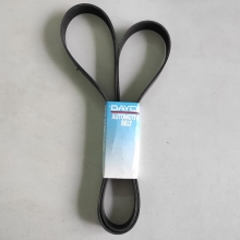 DÂY CUROA DAYCO 8PK-1895