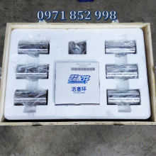 Nguyên bộ xy lanh và Piston cho động cơ Weichai - Shacman - WP12 612630900001 