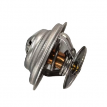 Van hằng nhiệt động cơ Weichai, Shacman WP12